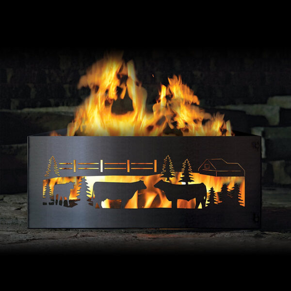 cows-square cows square