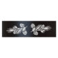 pine white