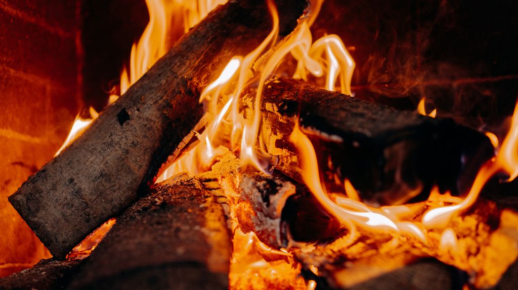 What's the Best Wood to Burn in a Campfire