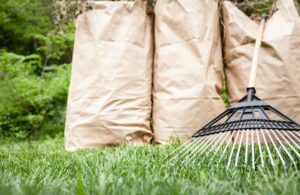 Yard Waste Bags with Rake in Grass